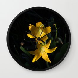 Dew drops on Yellow Glacier Lilies in Glacier National Park Montana Early Morning Wall Clock