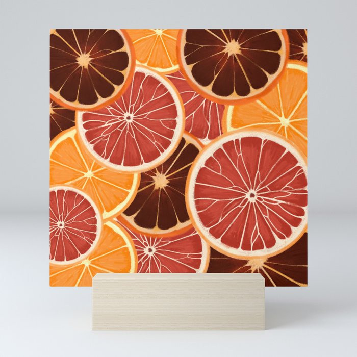 Citrus Slices Mini Art Print