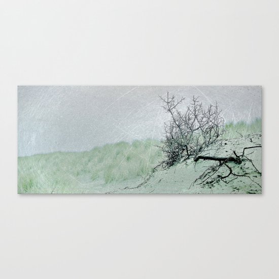 Sometimes... Canvas Print