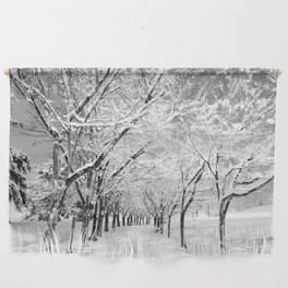 Light Through Snow Covered Trees, B&W Wall Hanging