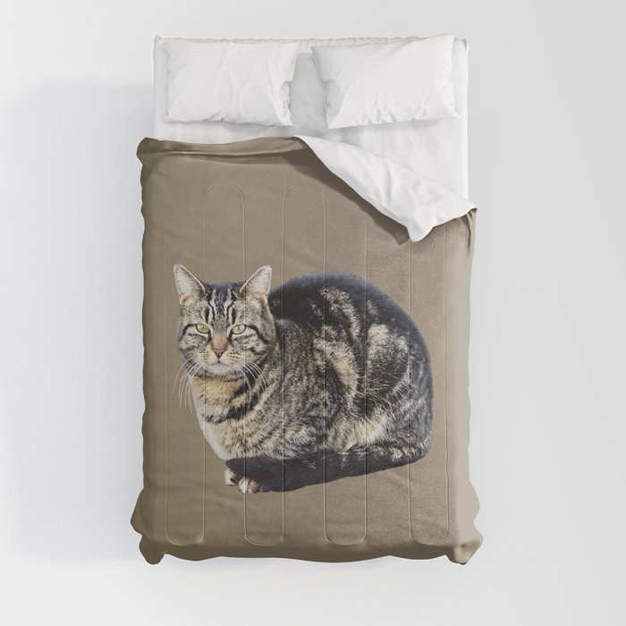 Tabby Cat Sitting Comforter