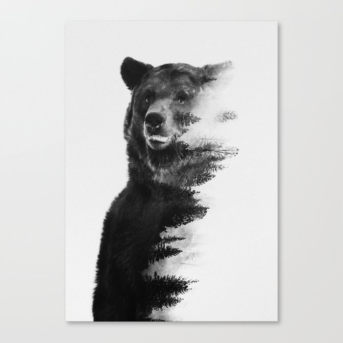 Observing Bear Canvas Print
