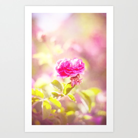 ROSA CANINA Art Print