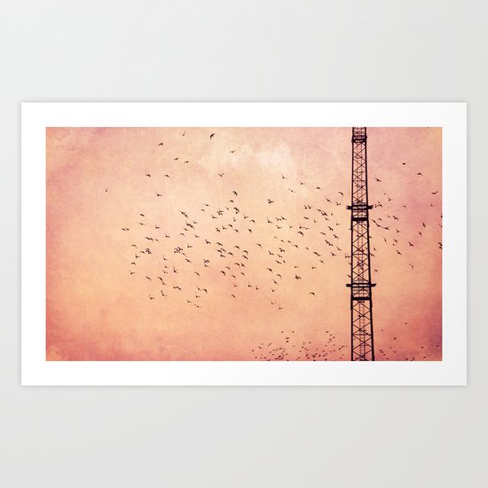 fly..fly.. Art Print