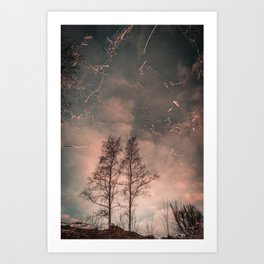 Tree reflection in pink and blue water, dreamy atmosphere in natural environment.  Art Print