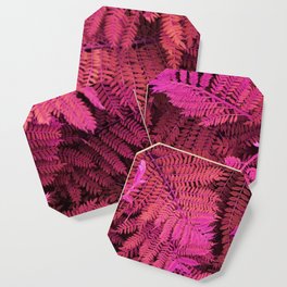 Crazy colored nature serie: pink fern leaves Coaster
