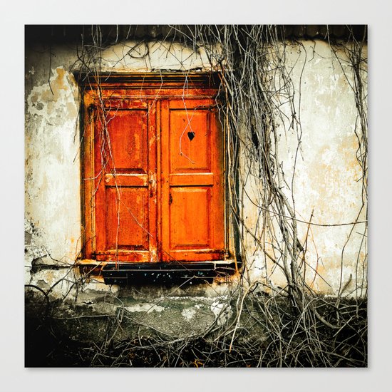 Window to my heart Canvas Print