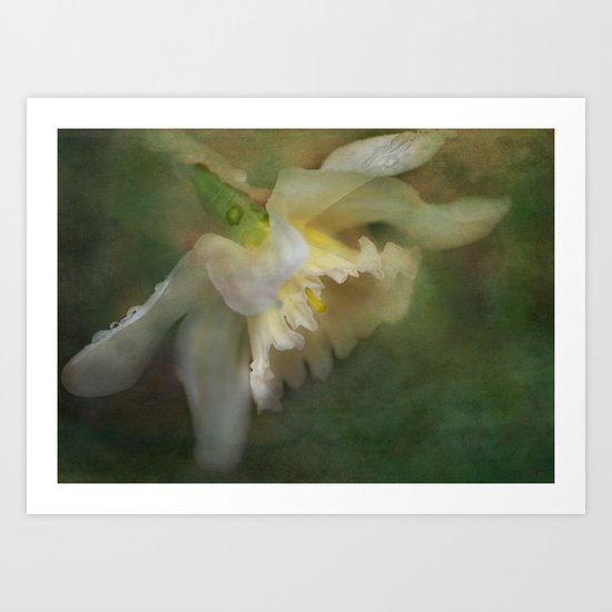 Dramatic Daff Art Print