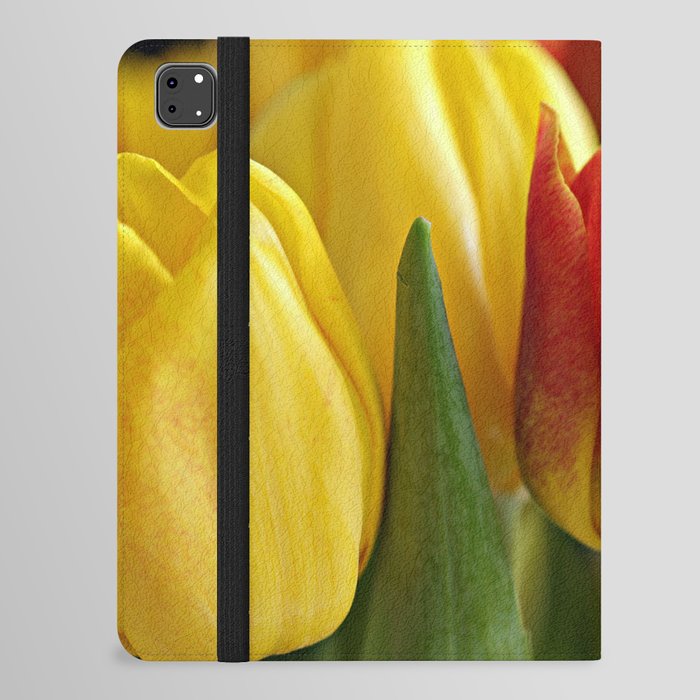 Red and Yellow Tulips iPad Folio Case
