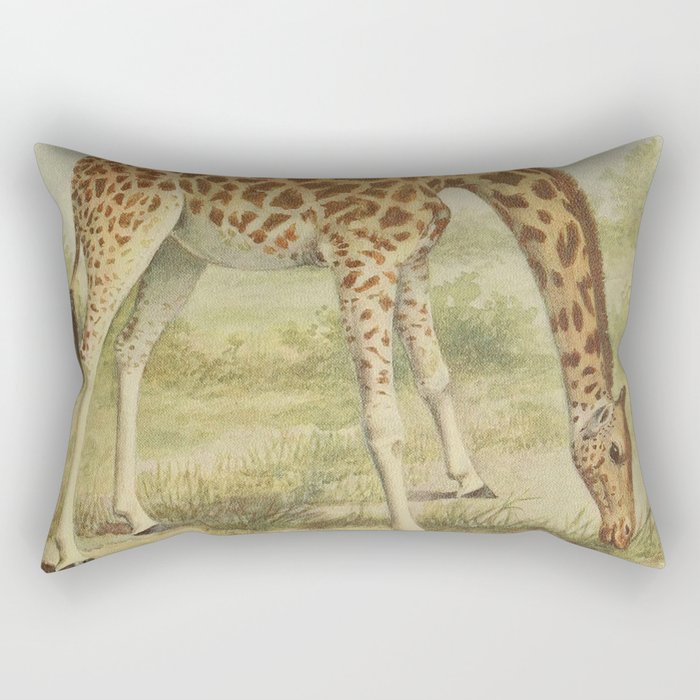 Vintage Giraffe Illustration (1903) Rectangular Pillow
