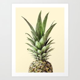 Pineapple Fruit Photography | Summer Happy Tropical Vibes Art Print