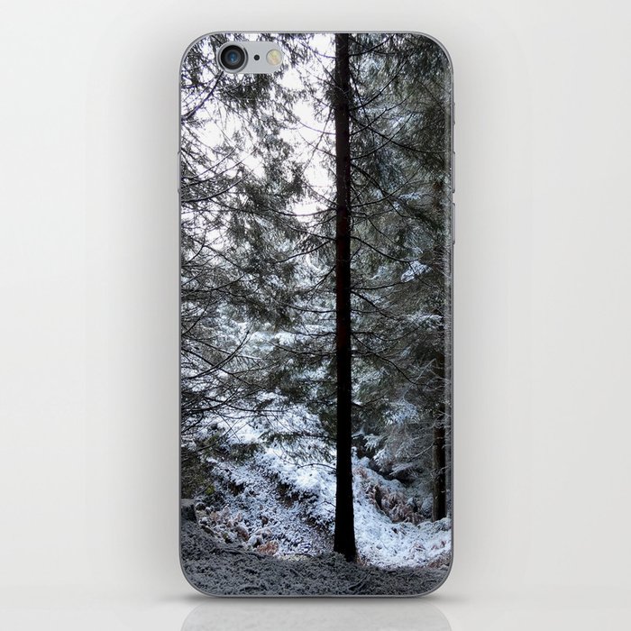 Looking towards the Light in a Scottish Pine Forest iPhone Skin