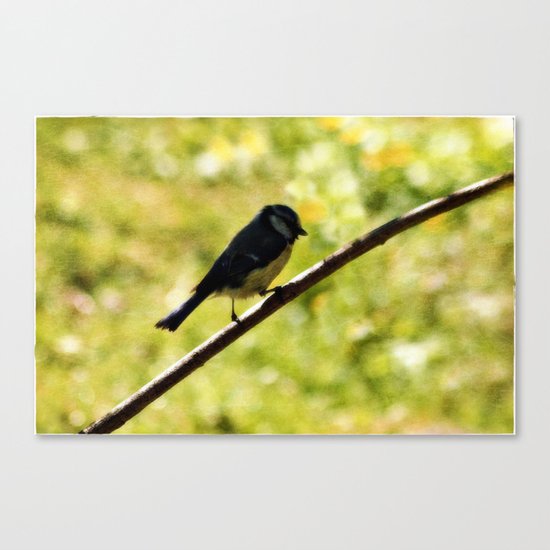One step at a time Canvas Print