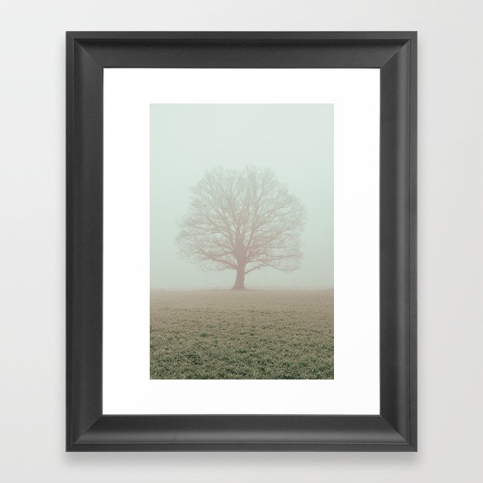 Oak tree Framed Art Print