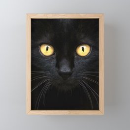 Black Cat Look Framed Mini Art Print