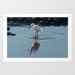 Snowy Egret In Pond | Wildlife Photography Art Print