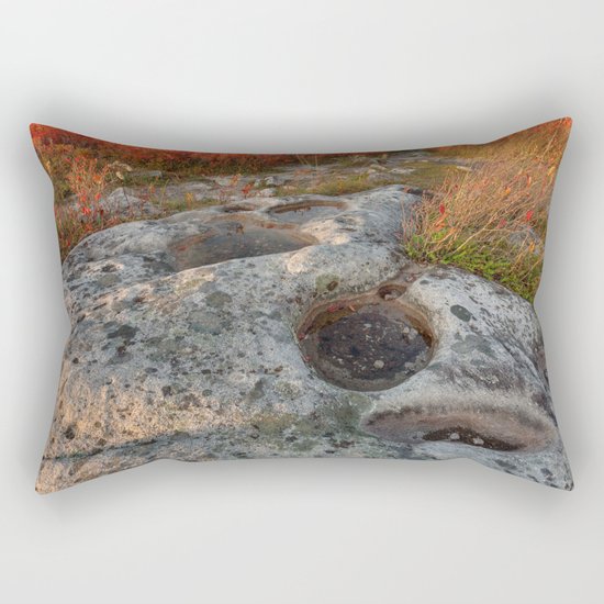 Autumn Huckleberry Fossil Rectangular Pillow