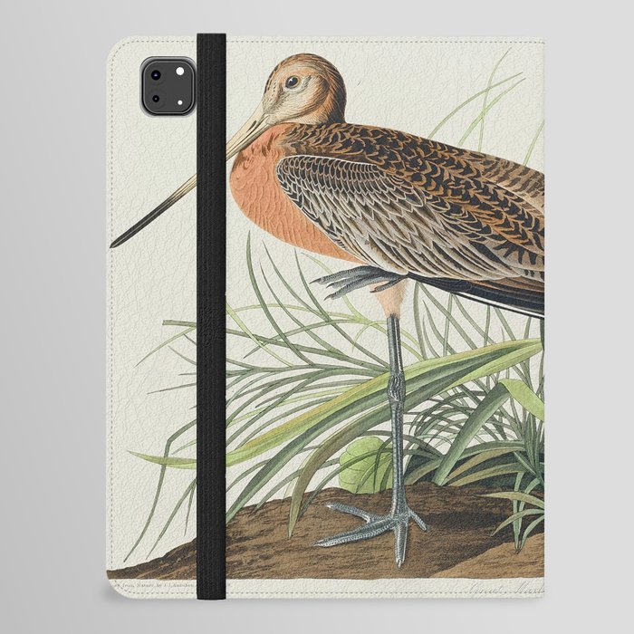 Great Marbled Godwit from Birds of America (1827) by John James Audubon  iPad Folio Case