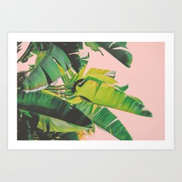 Banana Leaves III (Pink) Art Print