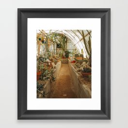 Cactus Botanical Garden Framed Art Print
