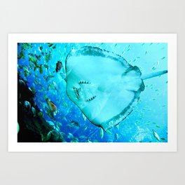 Sting Ray Art Print | Fish, Aquarium, Blue, Underwater, Digital, Oceanlife, Photo, Stringray, Color 