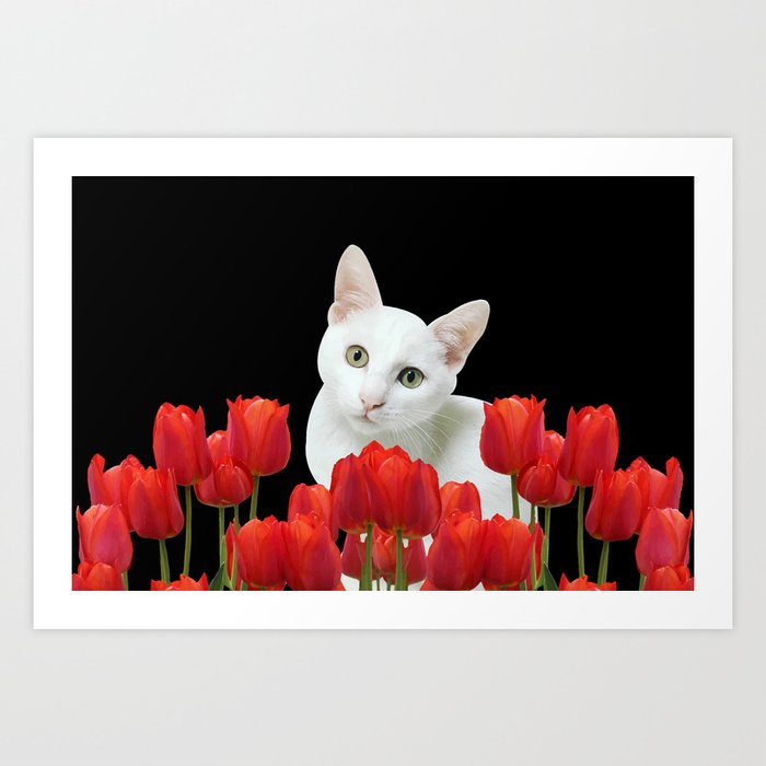 Red Tulips and white cat #society6 #cat Art Print