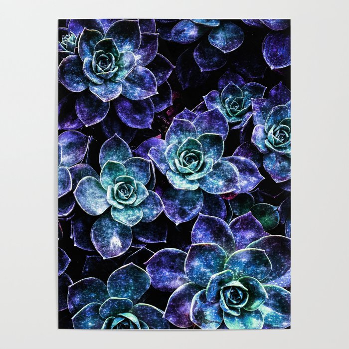 Succulents Purple Teal Mint Sparkle Poster