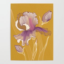 Iris flowers Poster