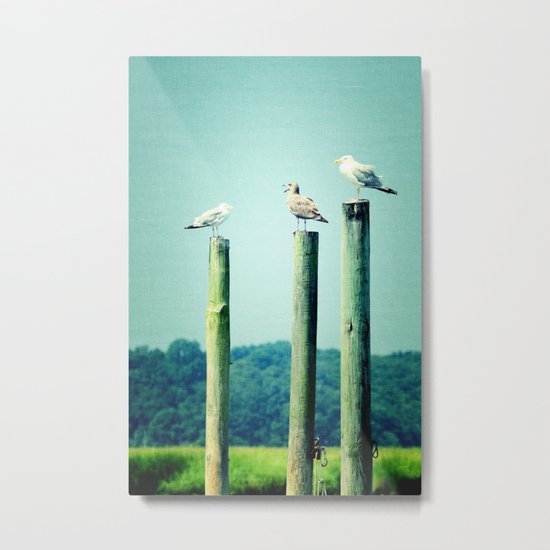 3 sea guls Metal Print