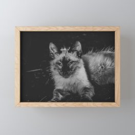 White Cat Framed Mini Art Print