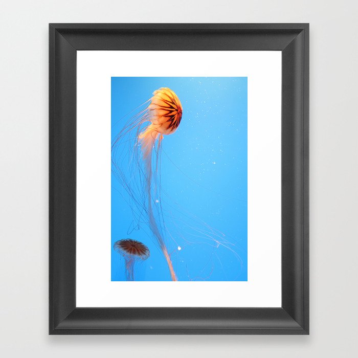 jellyfish Framed Art Print