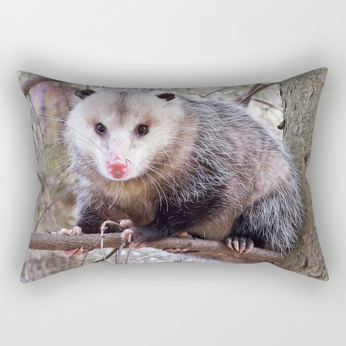 Possum Staredown Rectangular Pillow