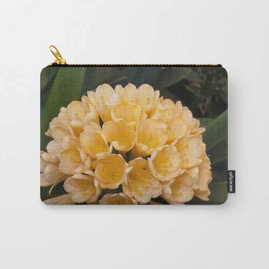 Clivia Apricot Carry-All Pouch