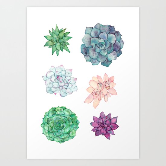 Succulents Art Print