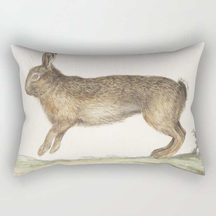 Hare, Lepus Europaeus Rectangular Pillow