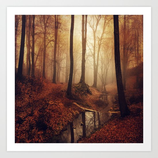 Forest Creek At Sunrise Art Print