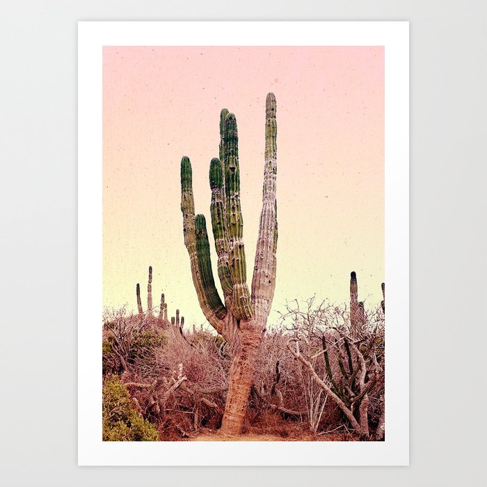 Vintage Cactus Art Print