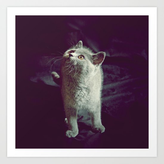 CA T Art Print