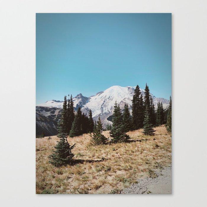 Summer at Mt Rainier Canvas Print