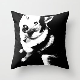 Husky Husky Throw Pillow
