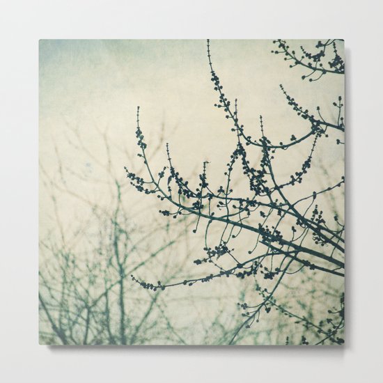 hush Metal Print