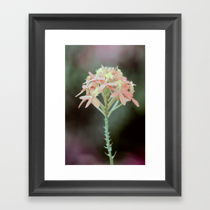 Green Mood Soft Pastel Orchid  Framed Art Print