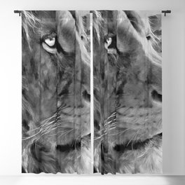 Modern black and white oil painting of king lion, artist collection of animal painting abstract. gray Blackout Curtain
