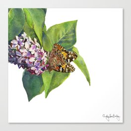 Butterfly & Lilacs Canvas Print