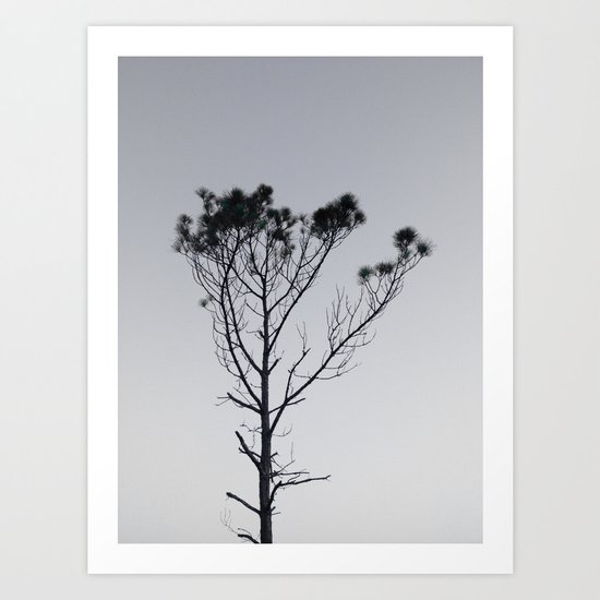 Solitude Art Print
