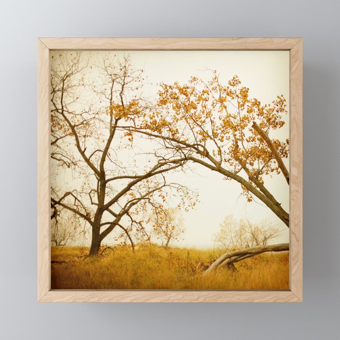 Autumn Gold - Modern Landscape Photograph Framed Mini Art Print
