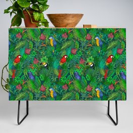 Jungle Bird Watching   Credenza