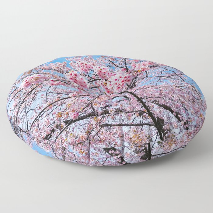 Sakura Flowers |  Cherry Blossom | Japanese | Floral | Bloom | Seasonal | Travel Photography Painting Floor Pillow