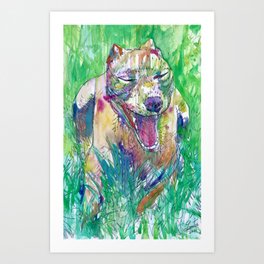 PIT BULL YAWNING IN THE GARDEN - watercolor portrait Art Print