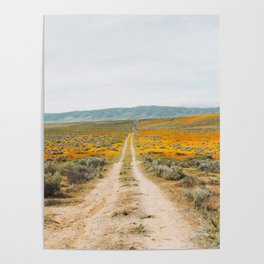 Road Less Traveled Poster